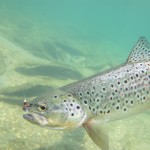 Powershot tagen med min nyinköpta Canon Powershot i fiskereportage i tjegelva dans smultronställe i fisketidning