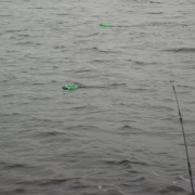Öka farten djupgående drag i fiskereportaget nötande ger resultat i fisketidningen fiskemagasinet.se