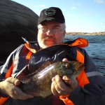 1275 gram för riktigt gyltafiske i fiskereportage gyltafiske med pelle och gustav i fisketidning