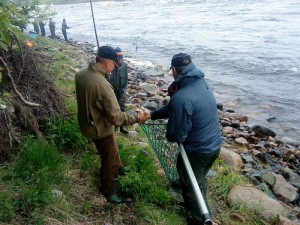 Handslaget det berömda handslaget i fiskereportage handslaget vid en lyckad håvning i fisketidning