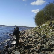 Laxfiskare fiska lax i fiskereportaget laxfiske i matkakoski på fisketidning