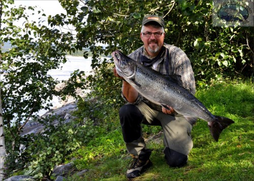 laxen in och vågen stannar på 8,78 kg i lyckat laxfiske i indalsälven på fisketidning