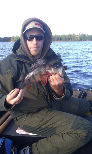 5phgch and the largest on the right fishing magazine abborrar och den största på precis 5 hg i trolling efter gädda och abborre i fisketidning