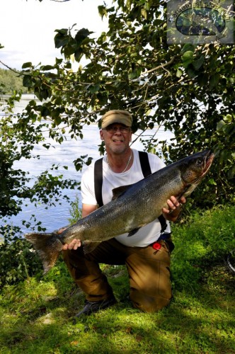 11,6 kg laxen och den som jagar laxen i lyckat laxfiske i indalsälven på fisketidning