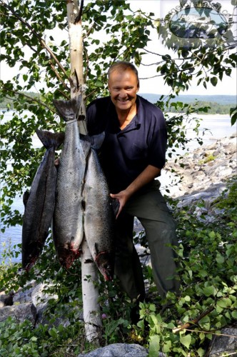 Trippeln fin laxhanne på drygt 7,30 kg i fiskereportaget lyckat laxfiske i indalsälven på fiskemagasinet.se