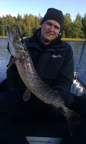 2 st gäddor varav största på 3,5 kg i trolling efter gädda och abborre på fisketidningen