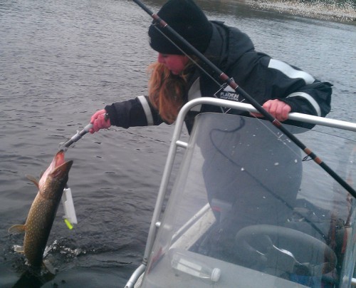 cissis flöte i gäddfiske i marma på fisketidning