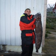 Drömfångsten team poseidon i söröya - 2011 med en fläckig havskatt på 17,1 kg i fisketidningen