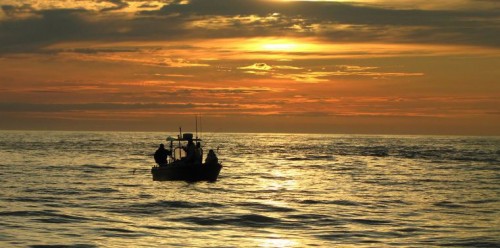 team poseidon i söröya - 2011 med storskalltaren i fisketidning