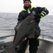 team poseidon i söröya - 2011 med 11 flundror upp till 17,8 kg i fisketidningen