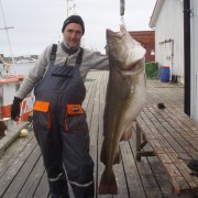 team poseidon i söröya - 2011 med en sommartorsk på 28, 35 kg i fisketidning