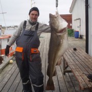 PB Torsken team poseidon i söröya - 2011 med en sommartorsk på 28, 35 kg i fisketidning