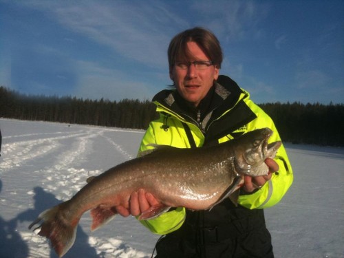 thomas jätteröding i enorm röding i fisketidningen