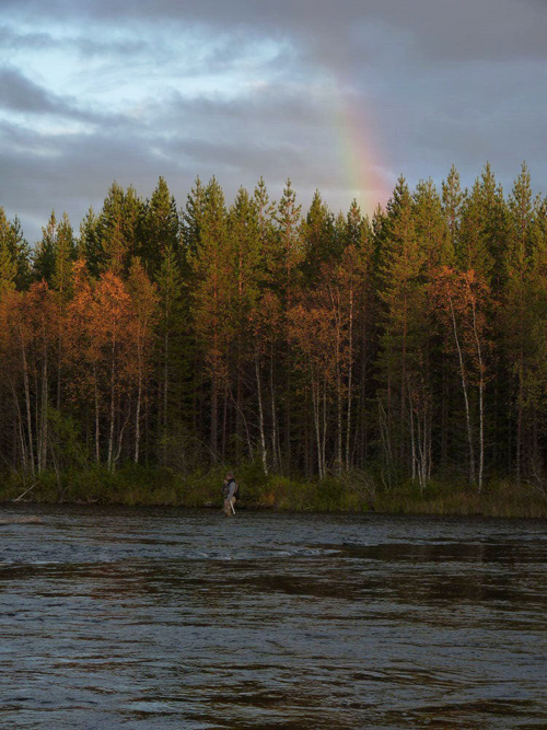 Regnbågen som fond regnbågen som fond i lycka och vemod på fisketidningen