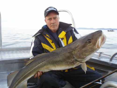 soroya_2009_005 torsk på 15 kg i söröya - 2009 i fiskereportage i fisketidning fiskemagasinet.se
