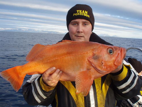 soroya_2009_052 kungsfisk i söröya - 2009 i fiskereportage i fisketidning fiskemagasinet.se