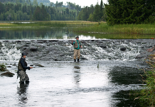 Fjällorna drog västerut och fick napp Fjällorna drog västerut och fick napp i detta fiskereportage i strömmande vatten