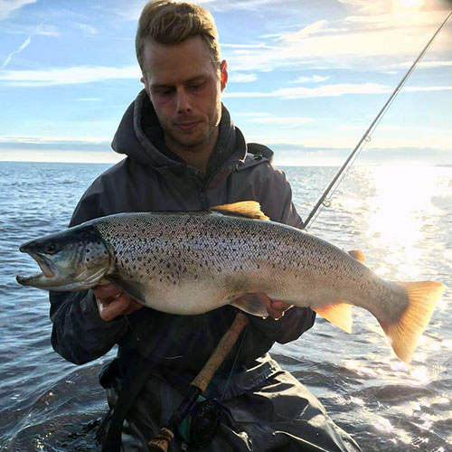 Linus Aller Stahl mit einer Meerforelle 64 och cm 4025 Gramm.