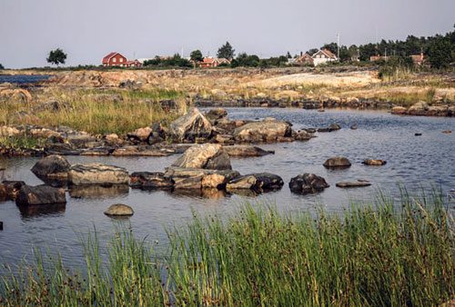 Fotograf: Mats Wilhelm / Naturfotograferna / IBL Bildbyrå